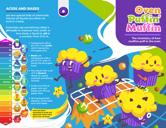 S.T.E.A.M Series Baking Kits